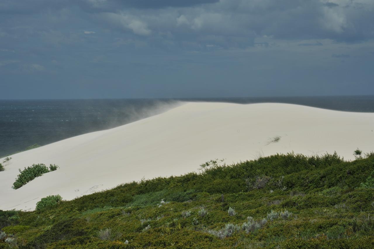 De Hoop Collection Suites De Hoop Nature Reserve エクステリア 写真