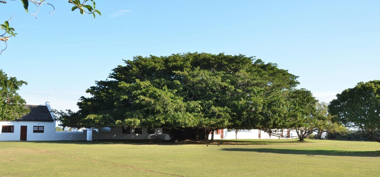 De Hoop Collection Suites De Hoop Nature Reserve エクステリア 写真