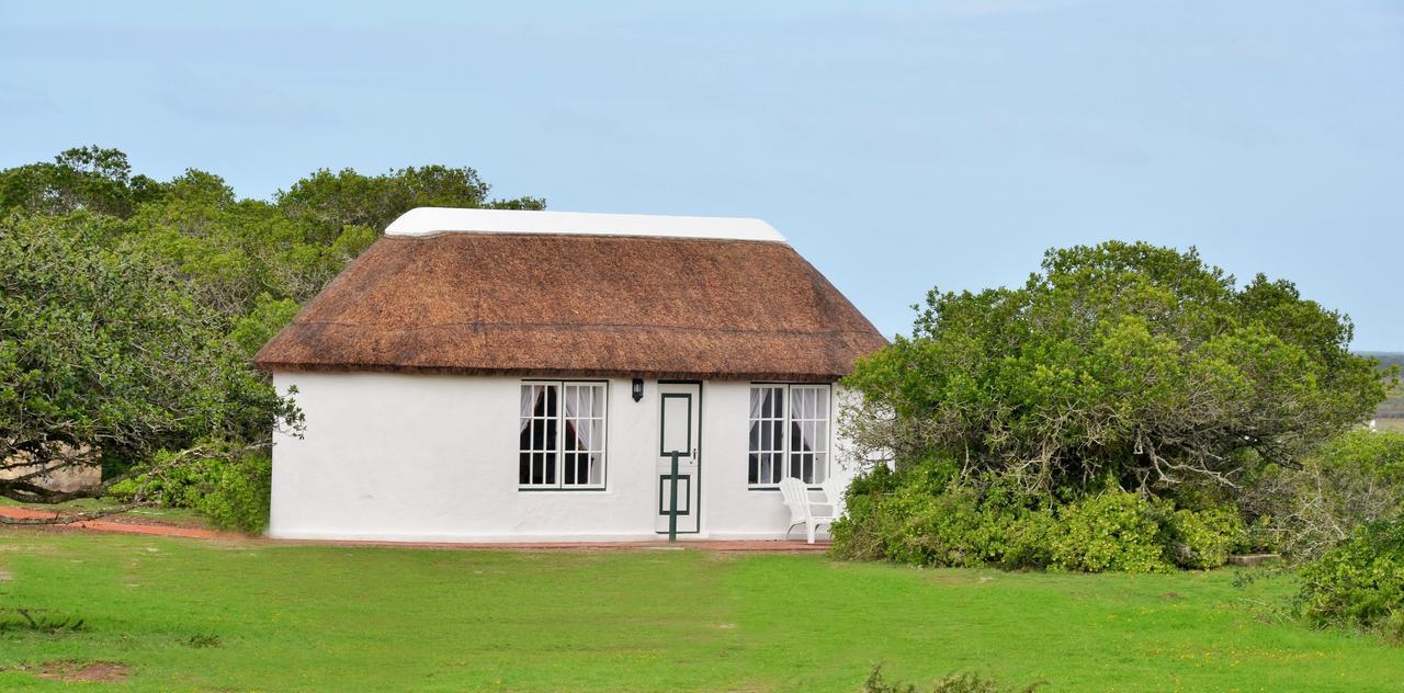 De Hoop Collection Suites De Hoop Nature Reserve エクステリア 写真