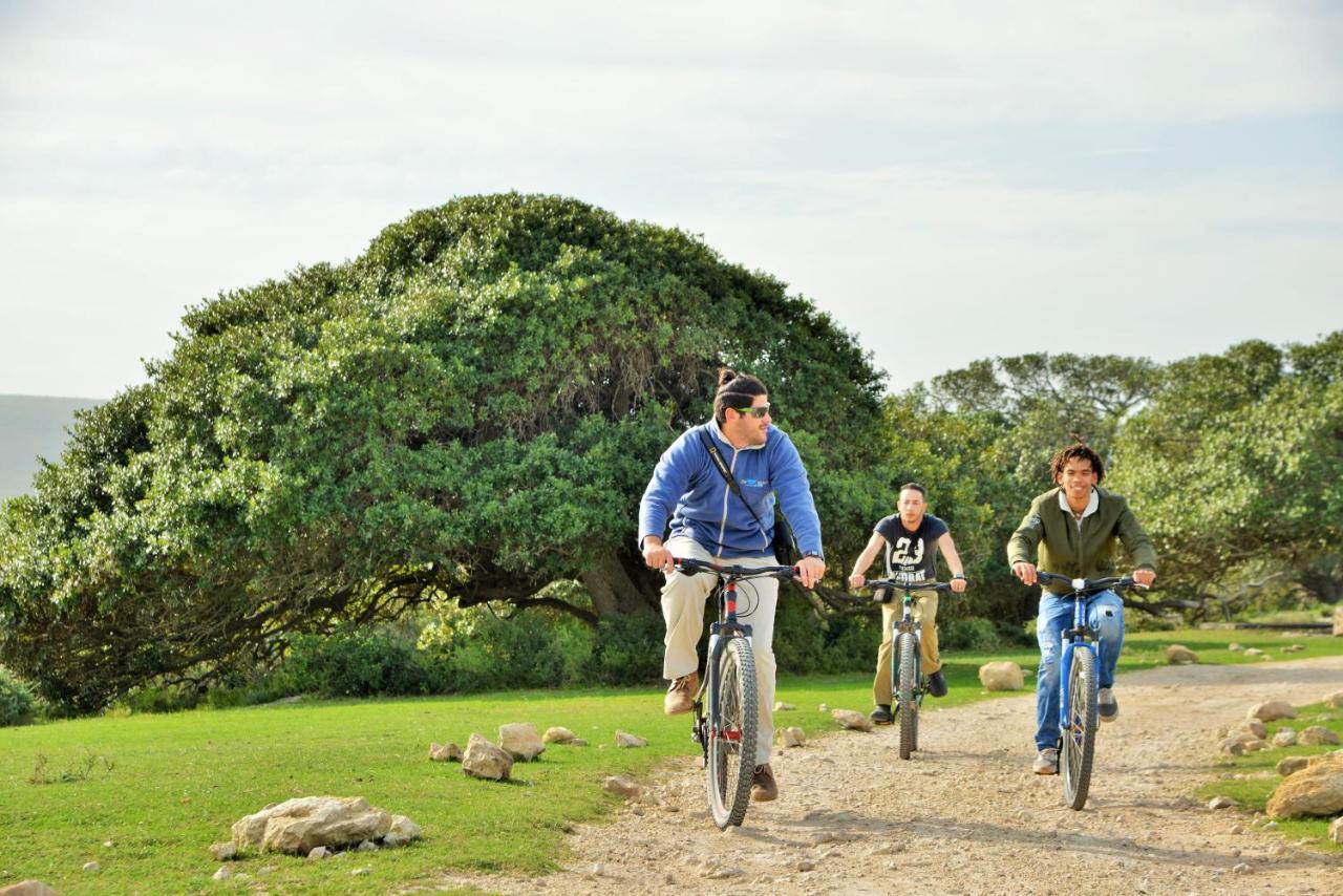 De Hoop Collection Suites De Hoop Nature Reserve エクステリア 写真